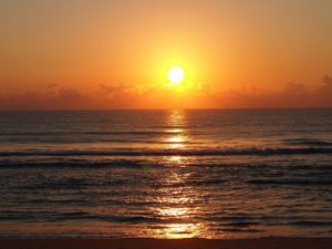 新年明けましておめでとうございます。士道館・別府道場より新年のご挨拶を申し上げます。